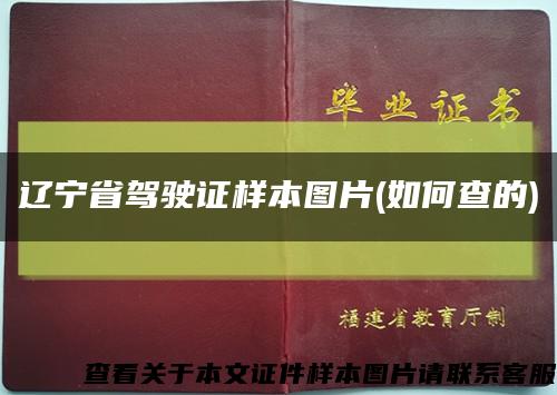 辽宁省驾驶证样本图片(如何查的)缩略图