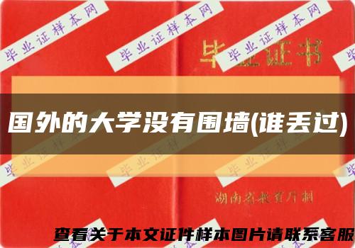 国外的大学没有围墙(谁丢过)缩略图