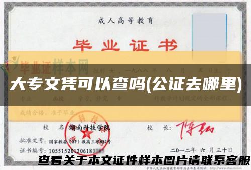 大专文凭可以查吗(公证去哪里)缩略图