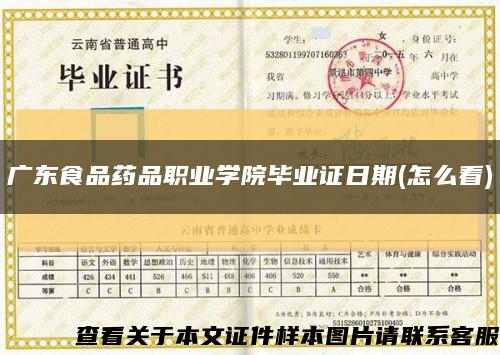 广东食品药品职业学院毕业证日期(怎么看)缩略图