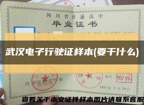 武汉电子行驶证样本(要干什么)缩略图