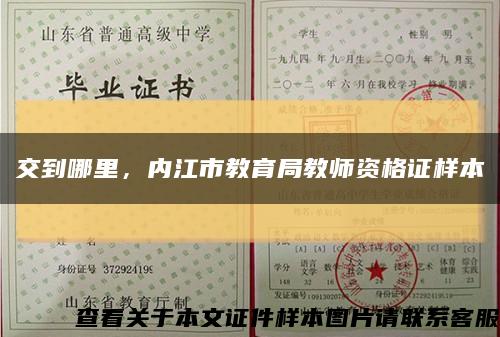 交到哪里，内江市教育局教师资格证样本缩略图