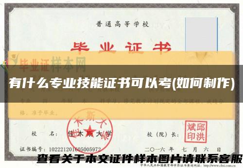 有什么专业技能证书可以考(如何制作)缩略图