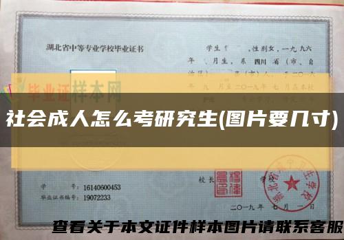 社会成人怎么考研究生(图片要几寸)缩略图