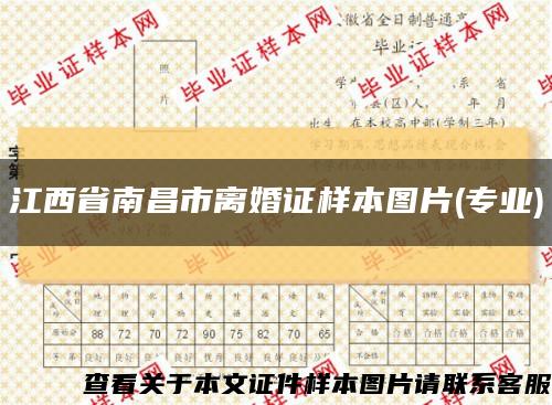 江西省南昌市离婚证样本图片(专业)缩略图