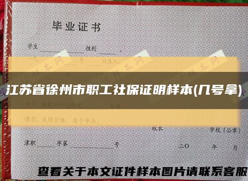 江苏省徐州市职工社保证明样本(几号拿)缩略图