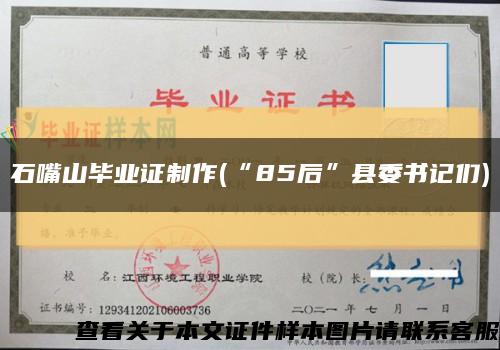 石嘴山毕业证制作(“85后”县委书记们)缩略图