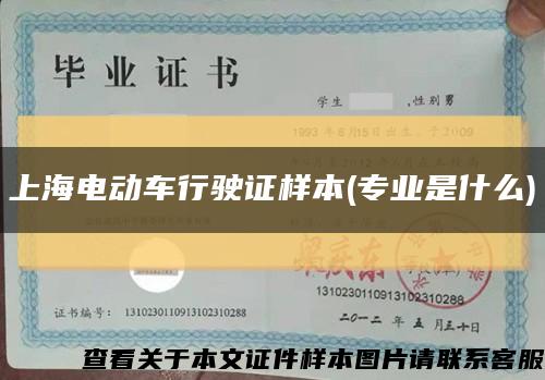 上海电动车行驶证样本(专业是什么)缩略图