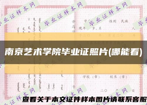 南京艺术学院毕业证照片(哪能看)缩略图