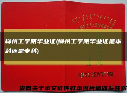 柳州工学院毕业证(柳州工学院毕业证是本科还是专科)缩略图