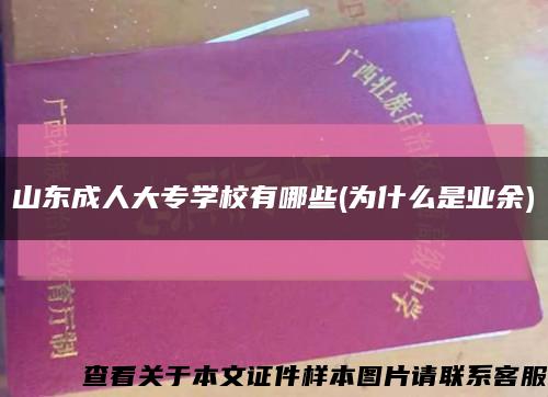 山东成人大专学校有哪些(为什么是业余)缩略图