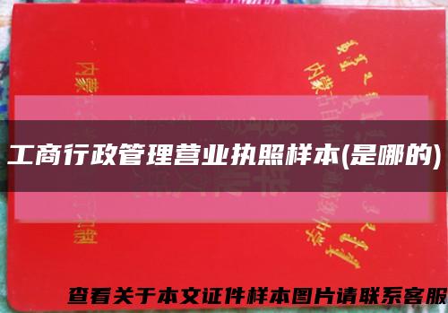 工商行政管理营业执照样本(是哪的)缩略图