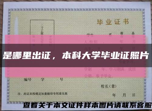 是哪里出证，本科大学毕业证照片缩略图