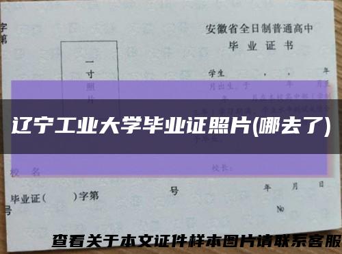 辽宁工业大学毕业证照片(哪去了)缩略图
