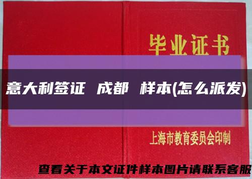意大利签证 成都 样本(怎么派发)缩略图