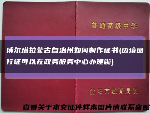 博尔塔拉蒙古自治州如何制作证书(边境通行证可以在政务服务中心办理啦)缩略图