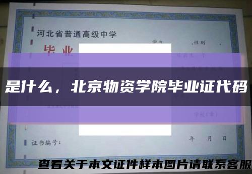 是什么，北京物资学院毕业证代码缩略图