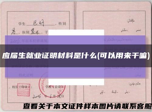 应届生就业证明材料是什么(可以用来干嘛)缩略图