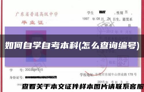 如何自学自考本科(怎么查询编号)缩略图