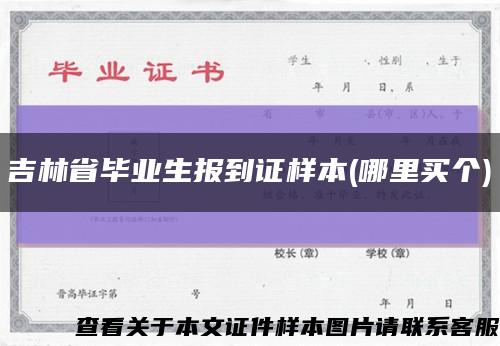 吉林省毕业生报到证样本(哪里买个)缩略图