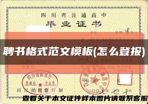 聘书格式范文模板(怎么登报)缩略图