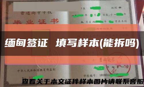 缅甸签证 填写样本(能拆吗)缩略图