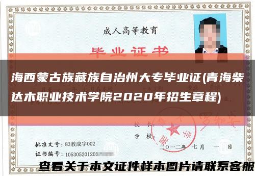海西蒙古族藏族自治州大专毕业证(青海柴达木职业技术学院2020年招生章程)缩略图