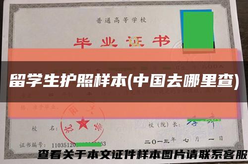 留学生护照样本(中国去哪里查)缩略图