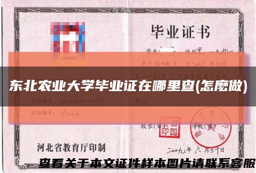 东北农业大学毕业证在哪里查(怎麽做)缩略图