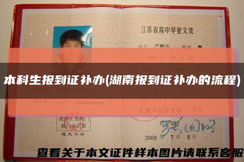 本科生报到证补办(湖南报到证补办的流程)缩略图