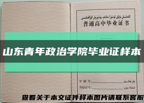 山东青年政治学院毕业证样本缩略图