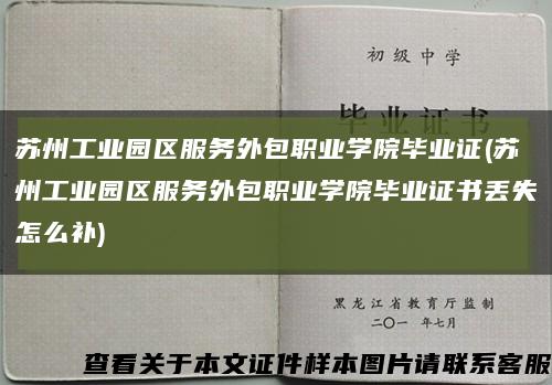 苏州工业园区服务外包职业学院毕业证(苏州工业园区服务外包职业学院毕业证书丢失怎么补)缩略图