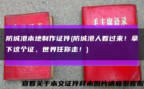 防城港本地制作证件(防城港人看过来！拿下这个证，世界任你走！)缩略图