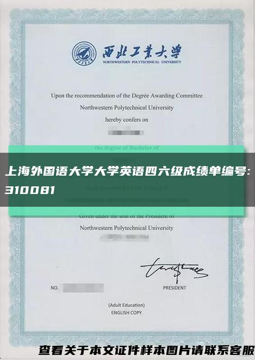 上海外国语大学大学英语四六级成绩单编号:310081缩略图