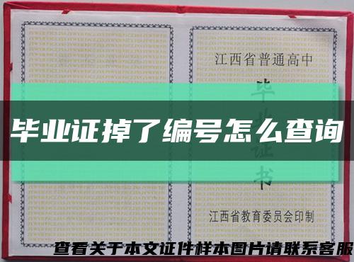 毕业证掉了编号怎么查询缩略图