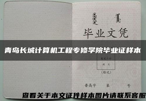 青岛长城计算机工程专修学院毕业证样本缩略图