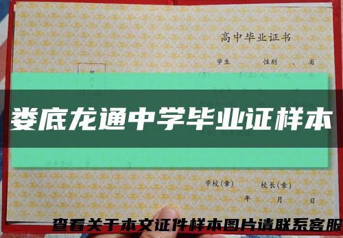 娄底龙通中学毕业证样本缩略图