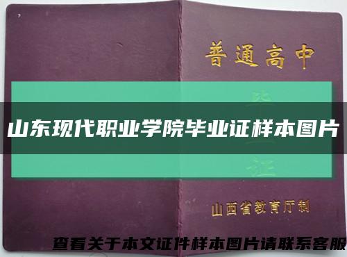 山东现代职业学院毕业证样本图片缩略图