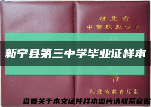 新宁县第三中学毕业证样本缩略图