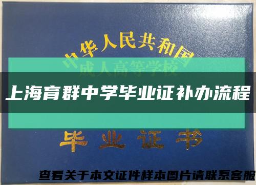 上海育群中学毕业证补办流程缩略图