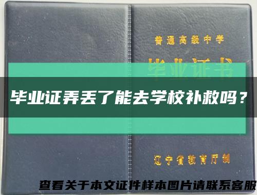 毕业证弄丢了能去学校补救吗？缩略图