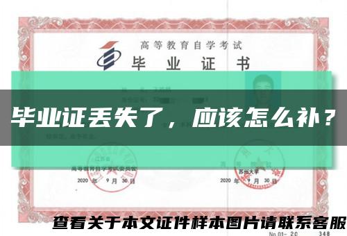 毕业证丢失了，应该怎么补？缩略图