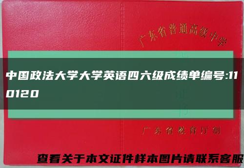 中国政法大学大学英语四六级成绩单编号:110120缩略图