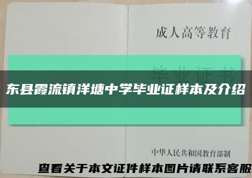 东县霞流镇洋塘中学毕业证样本及介绍缩略图
