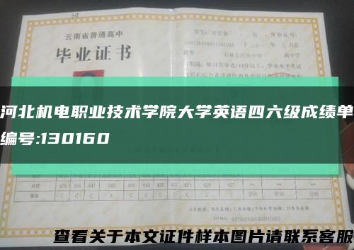 河北机电职业技术学院大学英语四六级成绩单编号:130160缩略图