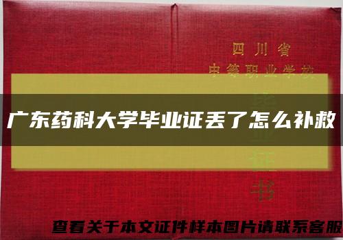 广东药科大学毕业证丢了怎么补救缩略图