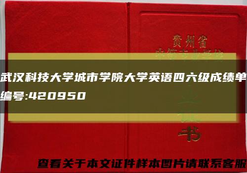武汉科技大学城市学院大学英语四六级成绩单编号:420950缩略图