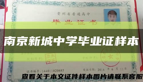 南京新城中学毕业证样本缩略图
