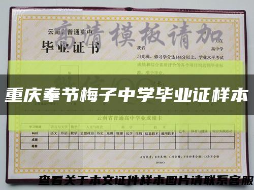 重庆奉节梅子中学毕业证样本缩略图