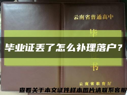 毕业证丢了怎么补理落户？缩略图
